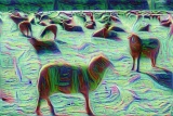 Deep Dream - Schafe (2)